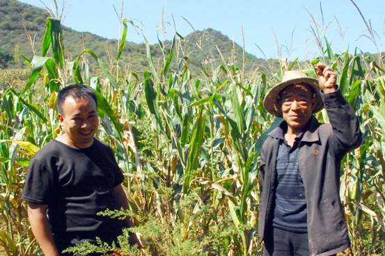 中石油买山造地留住农民的根