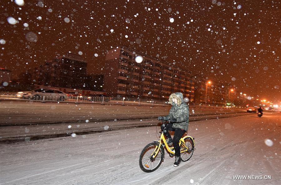 CHINA-TIANJIN-SNOWFALL(CN)