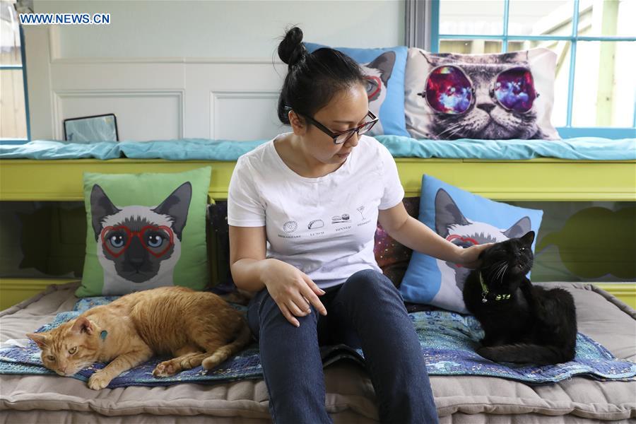 U.S.-HOUSTON-CAT CAFE