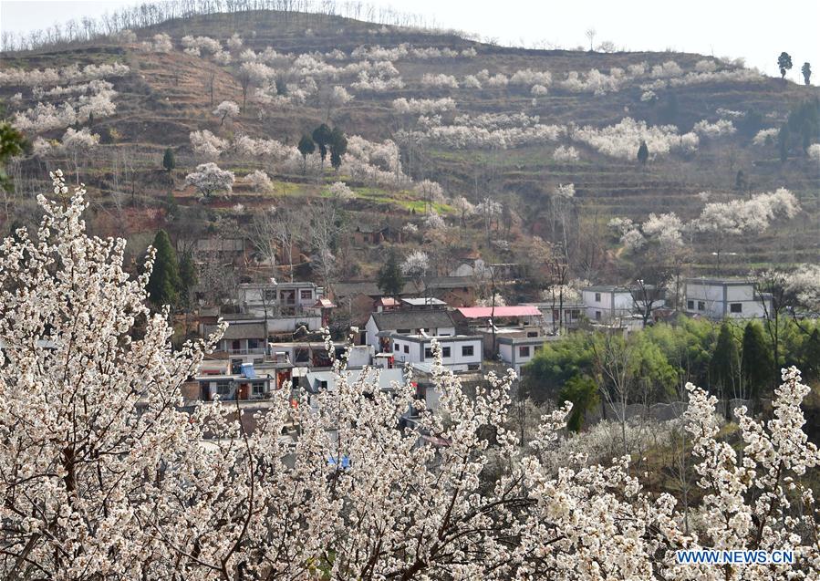 CHINA-SPRING SCENERY-FLOWERS (CN)