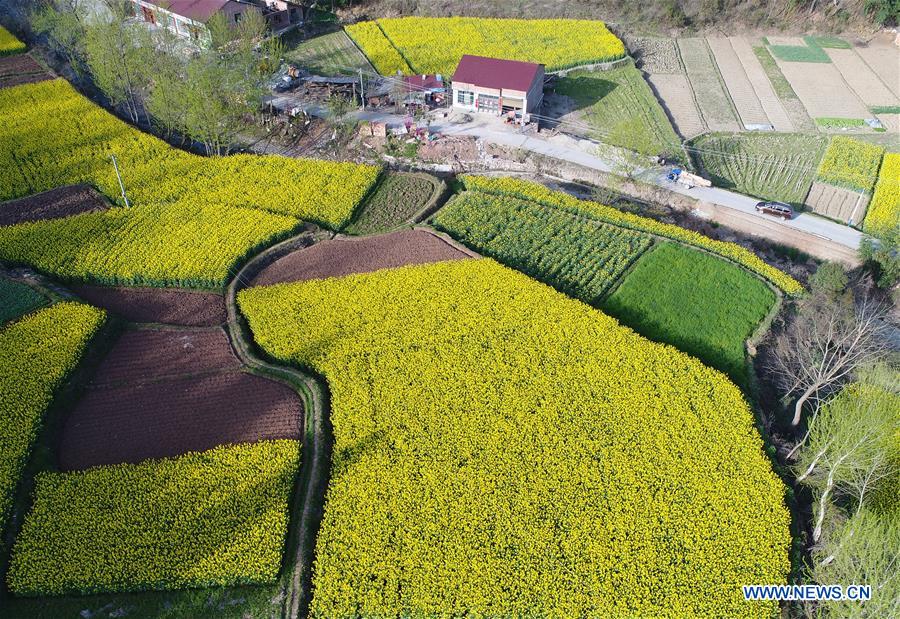 CHINA-SHAANXI-SPRING SCENERY (CN)