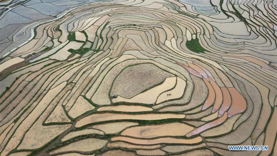 #CHINA-GUANGXI-TERRACED FIELDS (CN)