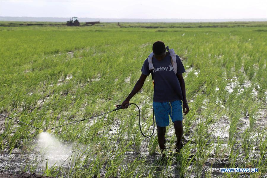 MOZAMBIQUE-GAZA-CHINA-AGRICULTURAL PROJECT