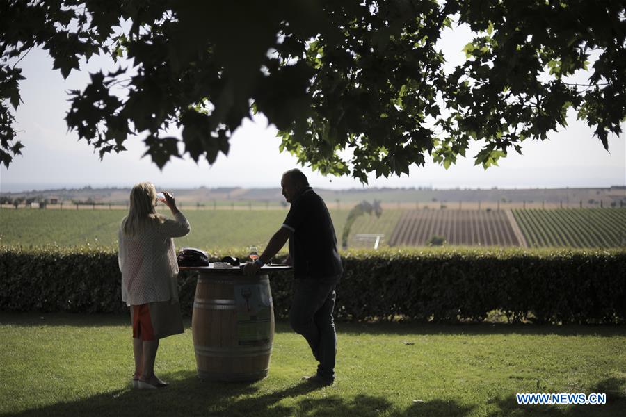 GREECE-THESSALONIKI-OPEN CELLAR DOORS-VINEYARD