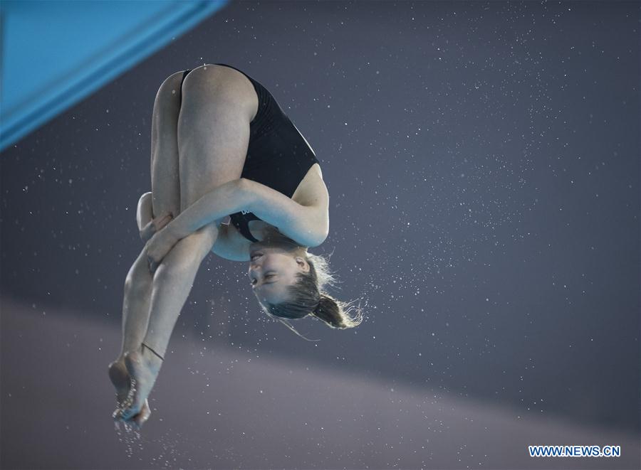 (SP)CHINA-WUHAN-DIVING-FINA-WORLD CUP (CN)