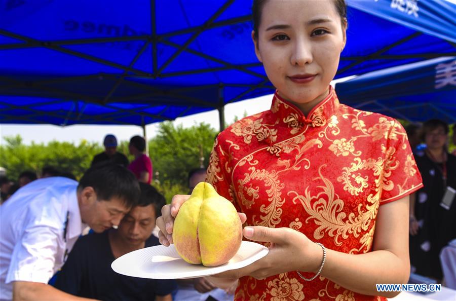 CHINA-HEBEI-SHENZHOU-PEACH CONTEST (CN)