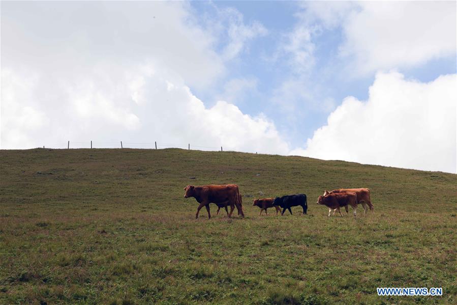 CHINA-YUNNAN-HUIZE-SCENERY (CN)