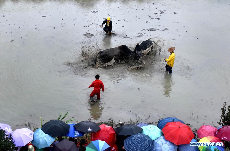 #CHINA-AGRICULTURE-HARVEST-FESTIVAL (CN)