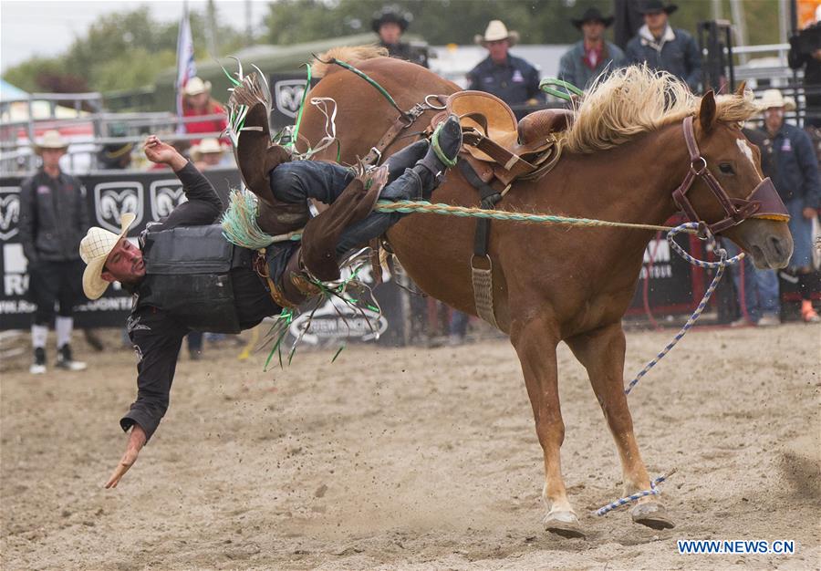 (SP)CANADA-MARKHAM-RODEO