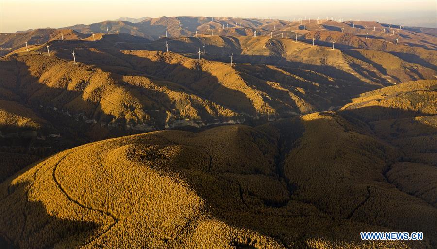 CHINA-SHANXI-QINYUAN-ENVIRONMENT-FOREST (CN)