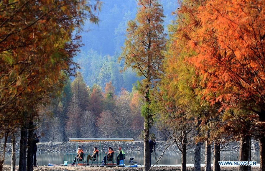 #CHINA-AUTUMN-SCENERY (CN)