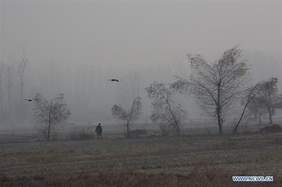 KASHMIR-SRINAGAR-COLD WEATHER