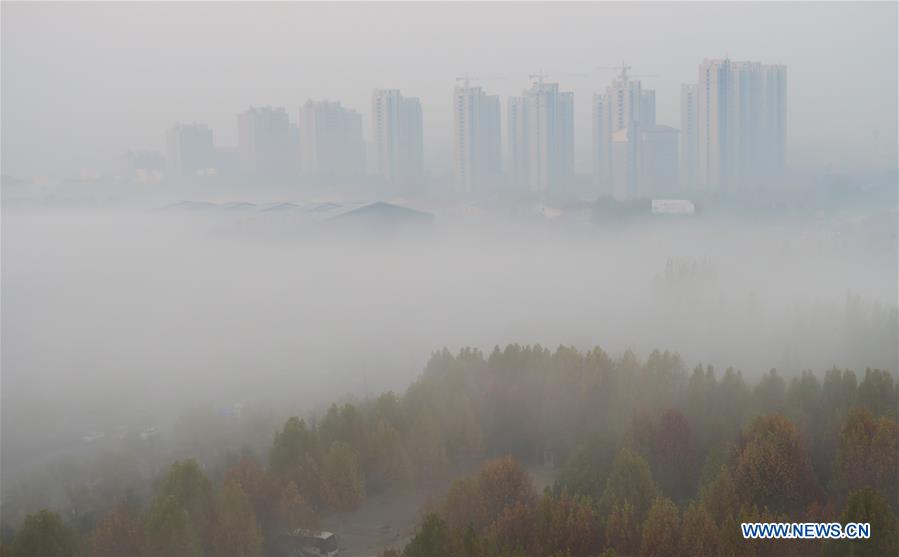 #CHINA-SHANDONG-JINING-ADVECTION FOG (CN*)