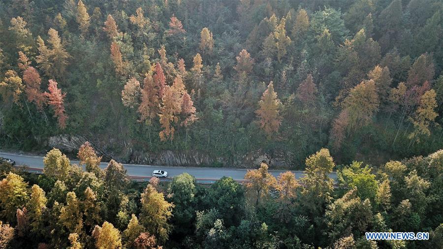 CHINA-GUIZHOU-WINTER SCENERY (CN)