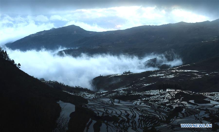 CHINA-YUNNAN-HANI TERRACED FIELDS-VIEWS (CN)