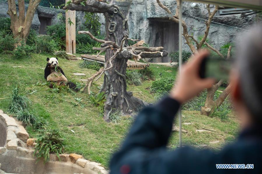 CHINA-MACAO-SPRING FESTIVAL-PANDA PAVILION (CN)