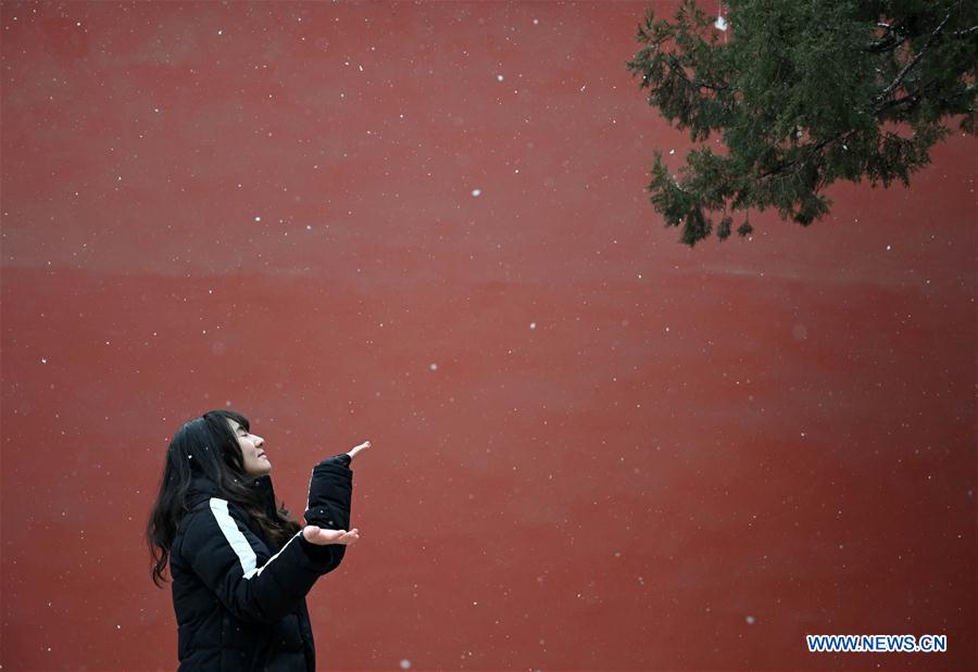 (InPalaceMuseum)CHINA-BEIJING-PALACE MUSEUM-SNOW (CN)