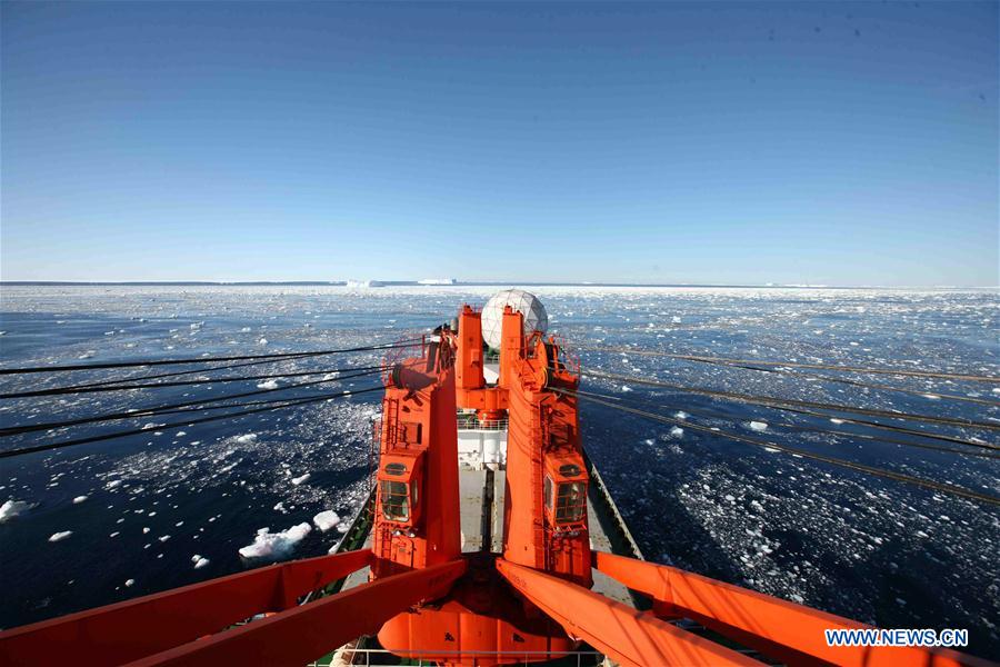 ANTARCTICA-CHINA-XUELONG-ANIMAL (CN)