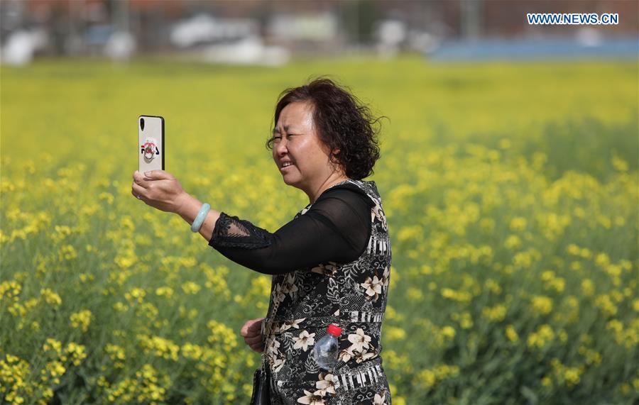 CHINA-SICHUAN-MIYI COUNTY-COLE FLOWERS (CN)