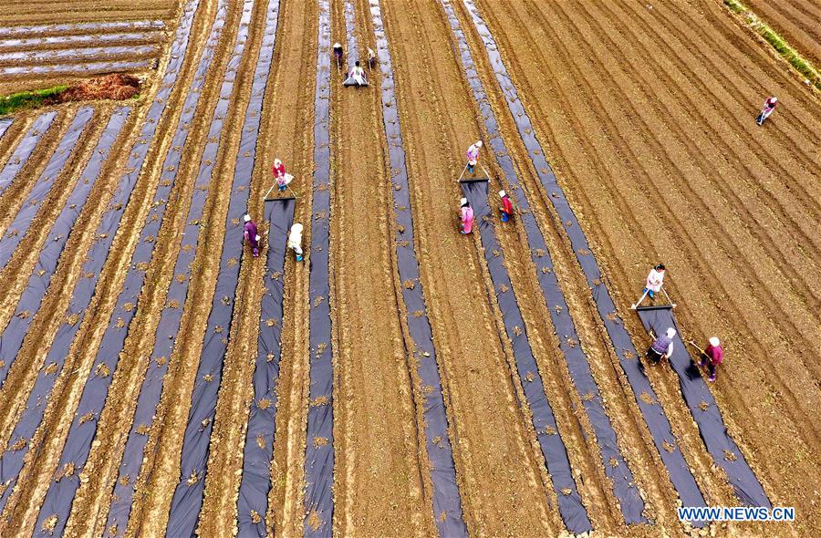 #CHINA-EARLY SPRING-AGRICULTURE(CN)