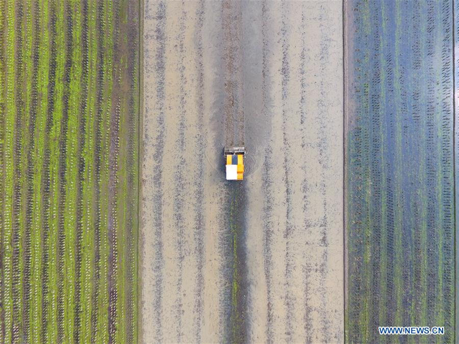 #CHINA-HUNAN-SPRING-FARMING (CN)