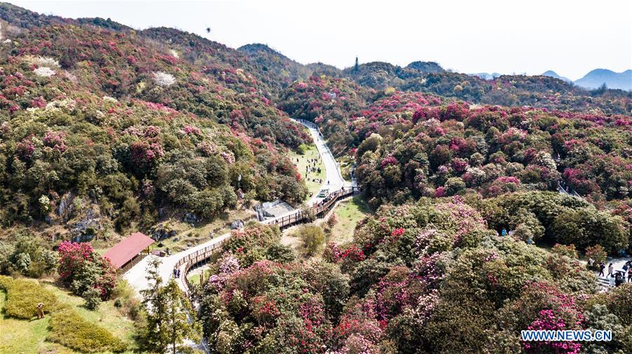 CHINA-GUIZHOU-BIJIE-SCENIC SPOT (CN)