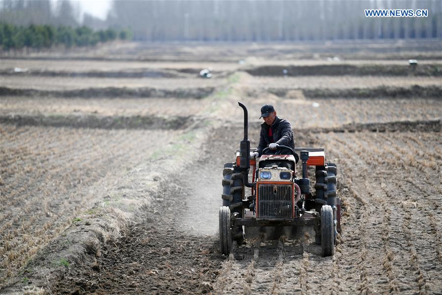 CHINA-HEILONGJIANG-YUANBAO VILLAGE-CHANGES (CN)