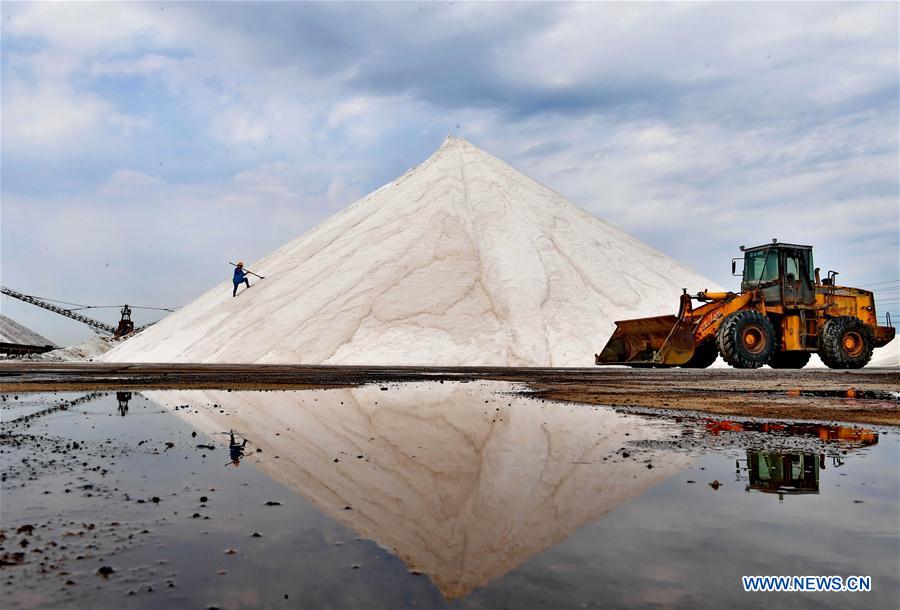 CHINA-HEBEI-TANGSHAN-SALT-HARVEST (CN)