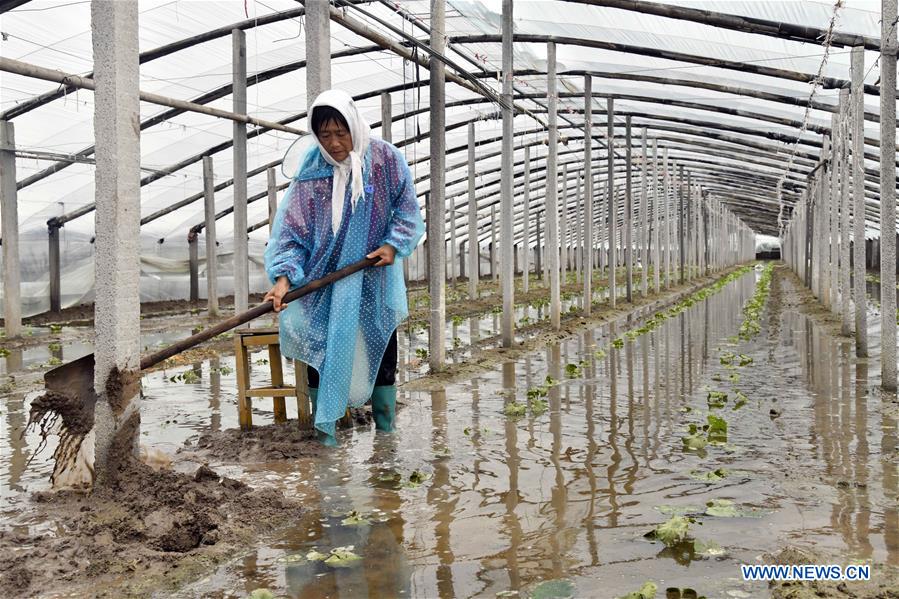 CHINA-SHANDONG-SHOUGUANG-TYPHOON-FLOOD-AFTERMATH (CN)