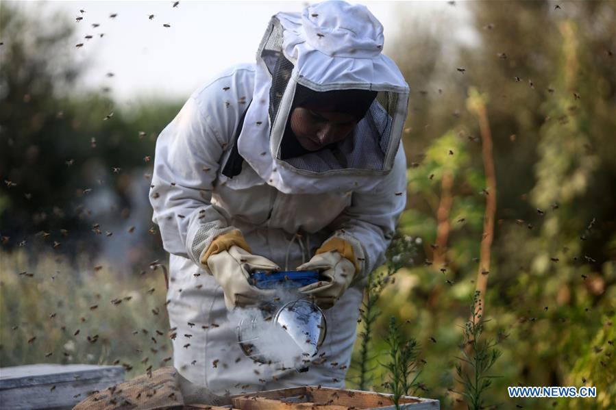 MIDEAST-GAZA-BEEKEEPER