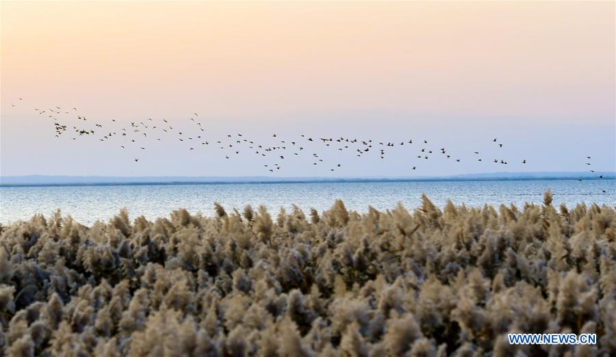 CHINA-INNER MONGOLIA-JUYANHAI LAKE-SCENERY (CN)