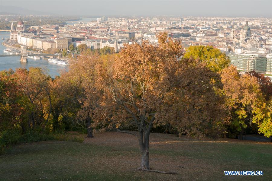 HUNGARY-BUDAPEST-AUTUMN SCENERY 