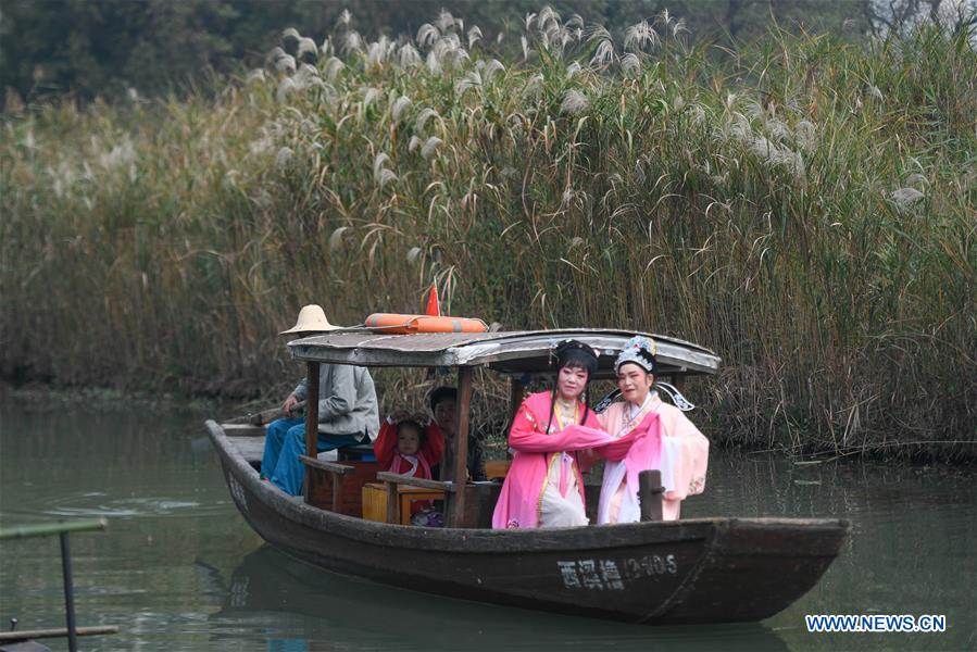 CHINA-ZHEJIANG-HANGZHOU-REED FLOWERS (CN)