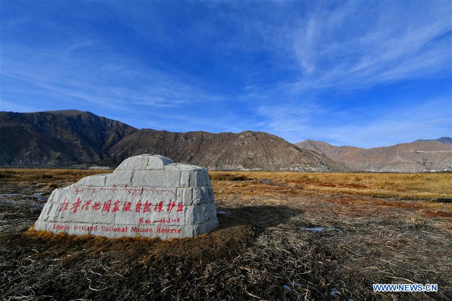 CHINA-TIBET-LHASA-LHALU WETLAND (CN)