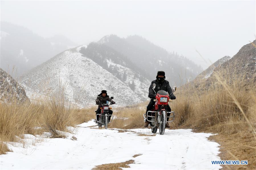 CHINA-GANSU-QILIAN MOUNTAINS-FOREST PROTECTION (CN)