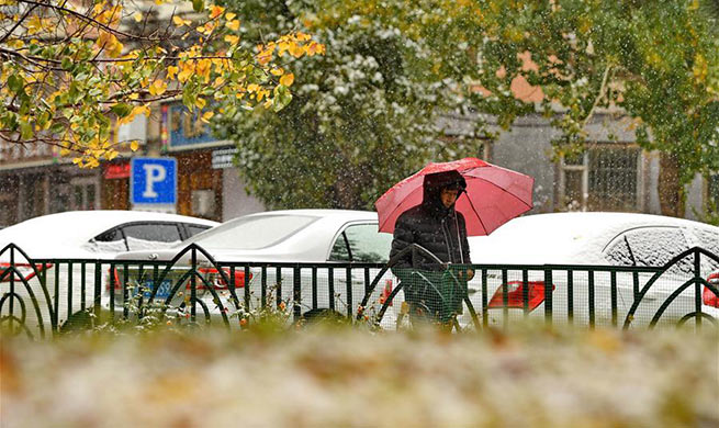 Snow falls in Changchun, NE China's Jilin