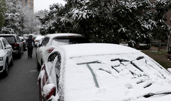 In pics: east China's Shanghai after snowfall