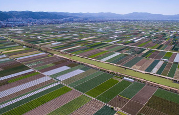 Aerial view of farmland scenery in SW China's Yunnan