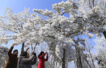 Rime scenery in Jinan, east China