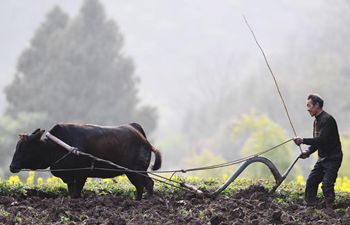 Farmers busy working in early spring across China