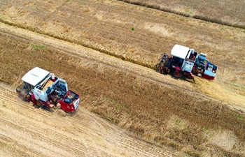 Wheat enters harvest season in many areas around China