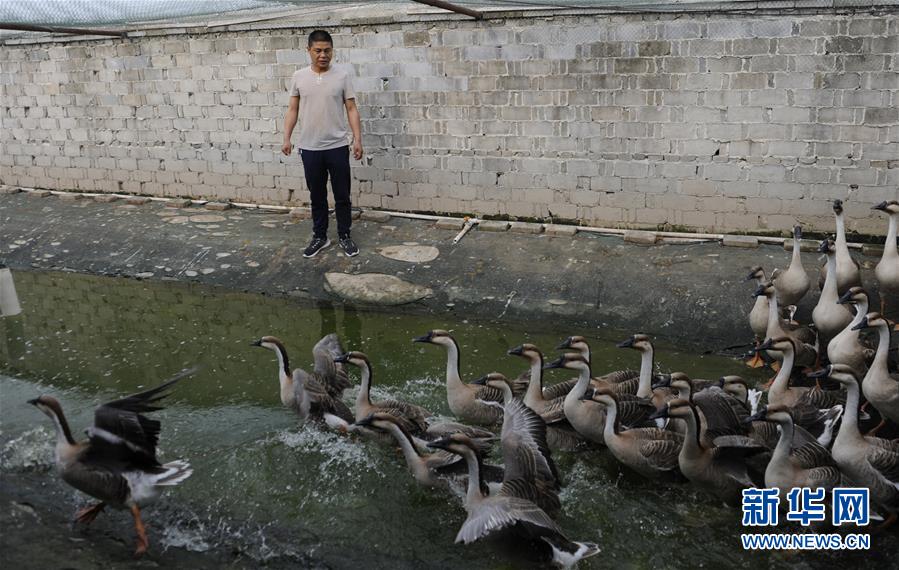 （图文互动）（5）第一书记李传玺的驻村生活