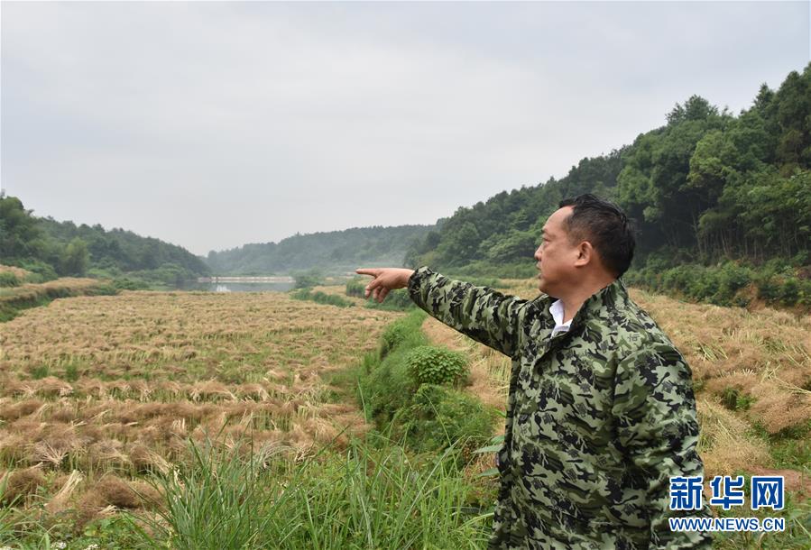 （代表委员履职·图文互动）（2）“我是农民代表，始终关注农村”——全国人大代表沈昌健的履职故事