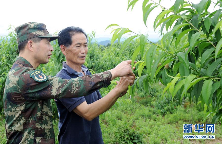 （代表委员履职·图文互动）（2）跑遍山寨送希望 奔波万里助脱贫——全国人大代表周丰林履职记